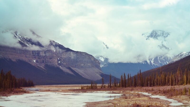 Alaska – ciekawostki i zaskakujące fakty o życiu na północy