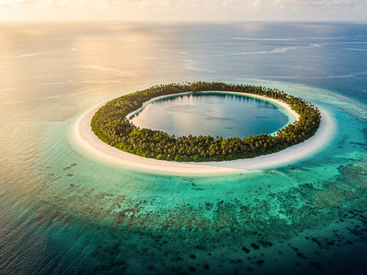 Wyspa koralowa na oceanie – krzyżówka
