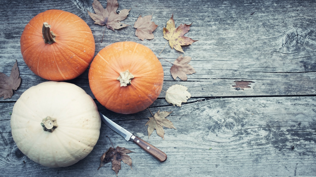 Dynie na Halloween – pomysły na dekoracje